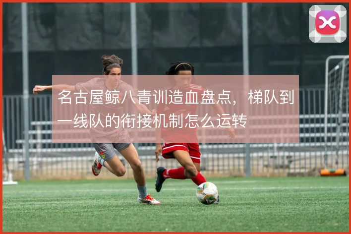 名古屋鲸八青训造血盘点，梯队到一线队的衔接机制怎么运转